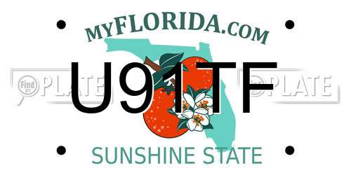 U91TF Florida License Plate