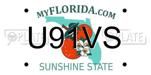 U91VS Florida License Plate