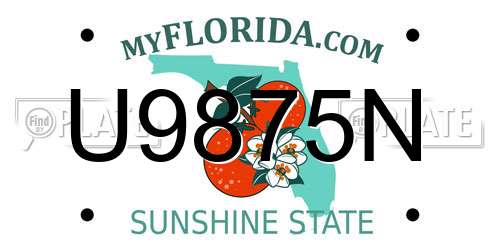 U9875N Florida License Plate