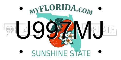 U997MJ Florida License Plate