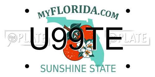 U99TE Florida License Plate