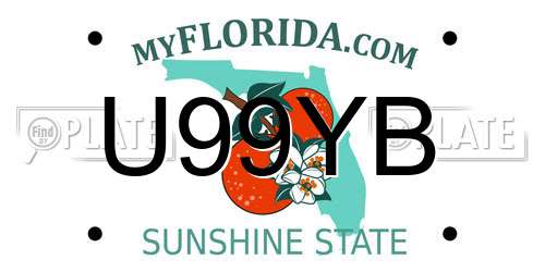 U99YB Florida License Plate