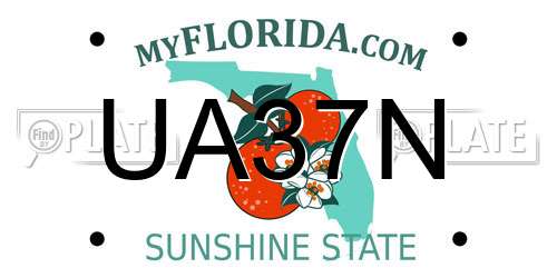 UA37N Florida License Plate