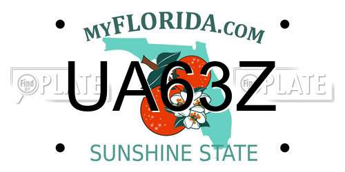 UA63Z Florida License Plate