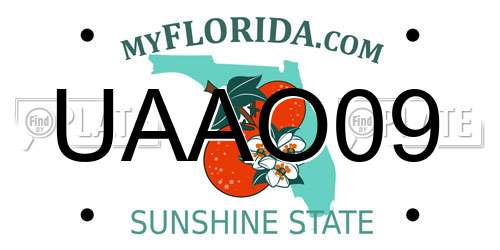 UAAO09 Florida License Plate