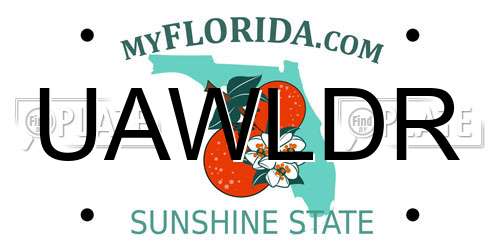 UAWLDR Florida License Plate