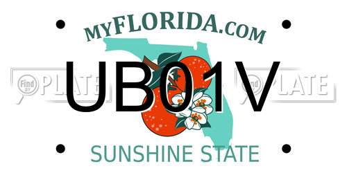 UB01V Florida License Plate