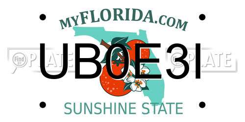 UB0E3I Florida License Plate