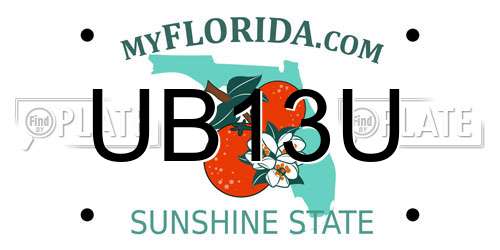UB13U Florida License Plate
