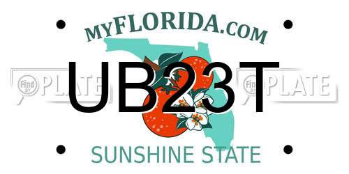 UB23T Florida License Plate