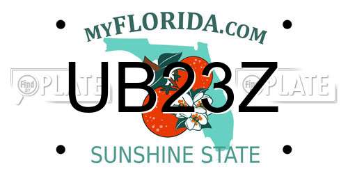 UB23Z Florida License Plate
