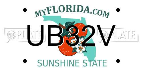 UB32V Florida License Plate