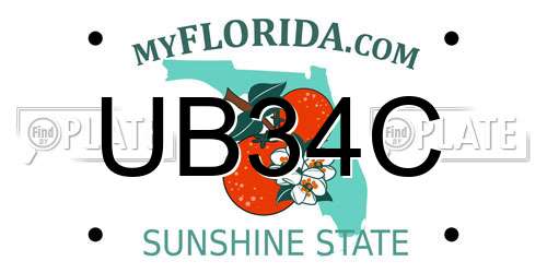 UB34C Florida License Plate