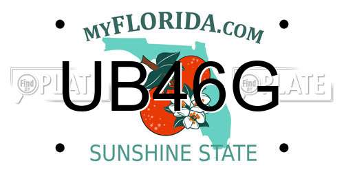 UB46G Florida License Plate