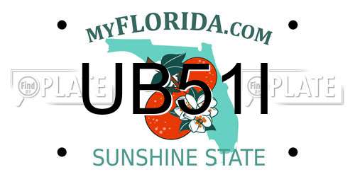 UB51I Florida License Plate