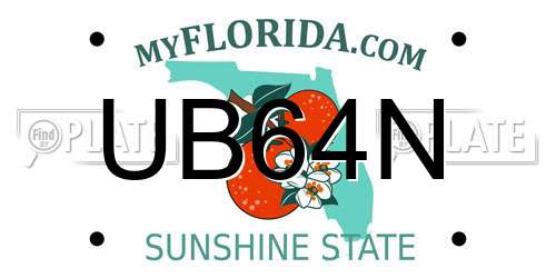 UB64N Florida License Plate