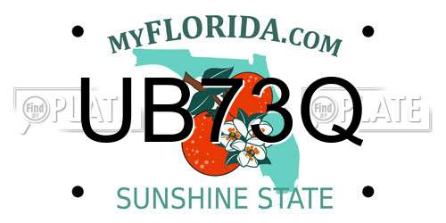 UB73Q Florida License Plate