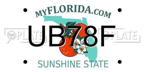 UB78F Florida License Plate
