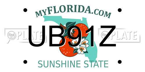 UB91Z Florida License Plate