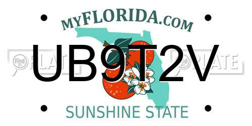 UB9T2V Florida License Plate