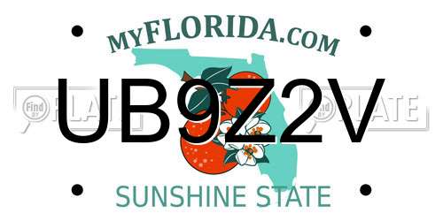 UB9Z2V Florida License Plate