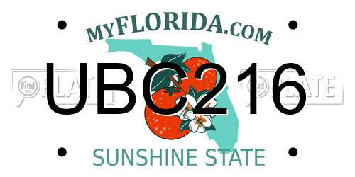 UBC216 Florida License Plate