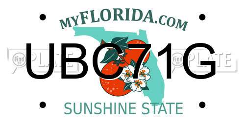 UBC71G Florida License Plate