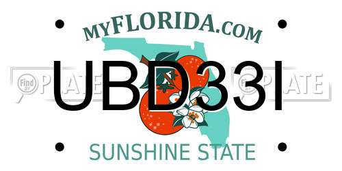 UBD33I Florida License Plate