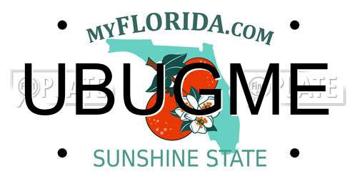 UBUGME Florida License Plate