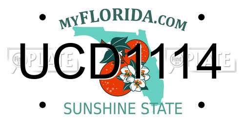 UCD1114 Florida License Plate