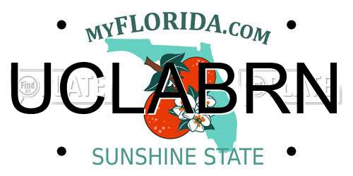 UCLABRN Florida License Plate