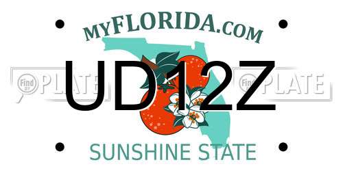 UD12Z Florida License Plate
