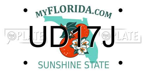 UD17J Florida License Plate