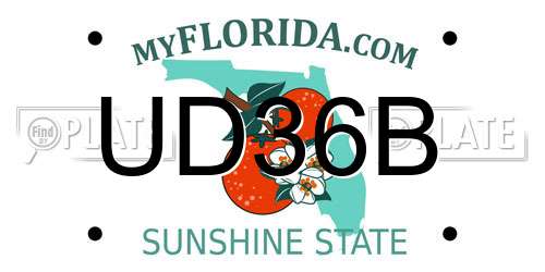 UD36B Florida License Plate