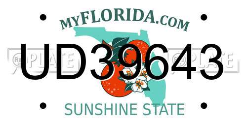 UD39643 Florida License Plate