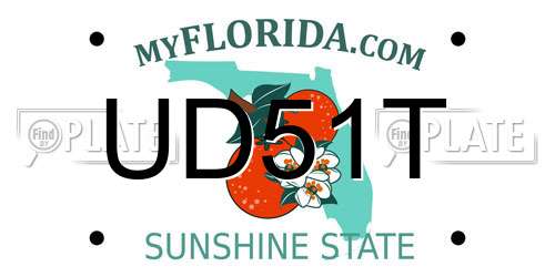 UD51T Florida License Plate