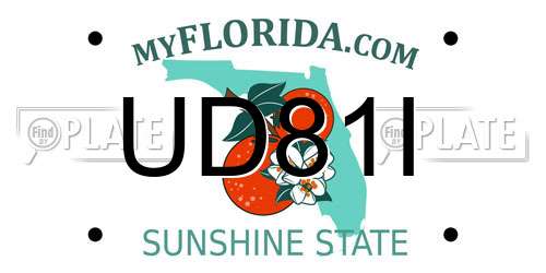 UD81I Florida License Plate