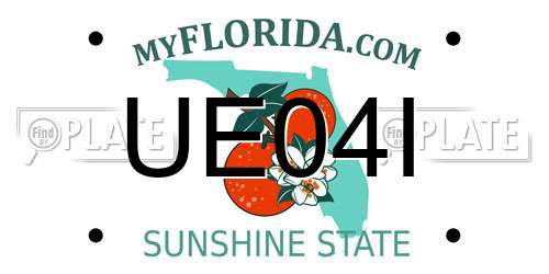 UE04I Florida License Plate