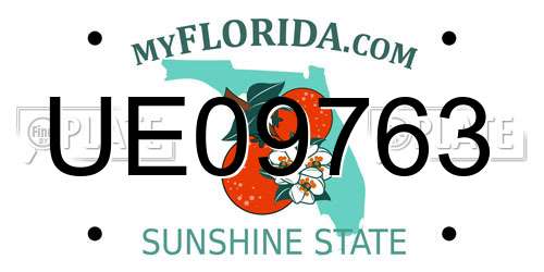 UE09763 Florida License Plate
