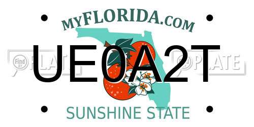 UE0A2T Florida License Plate