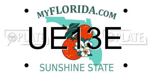 UE13E Florida License Plate