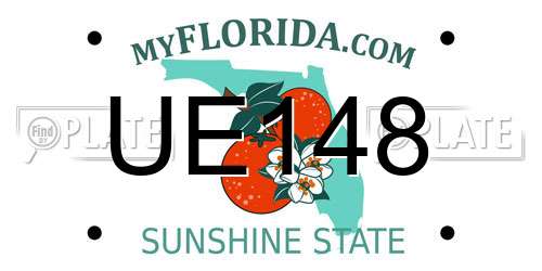 UE148 Florida License Plate
