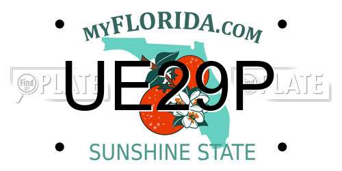 UE29P Florida License Plate