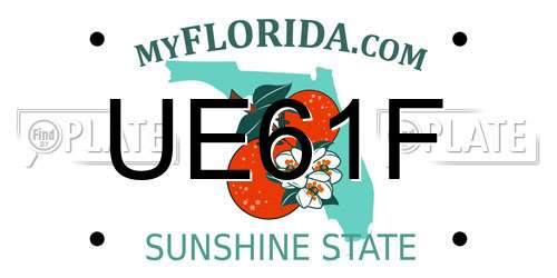 UE61F Florida License Plate