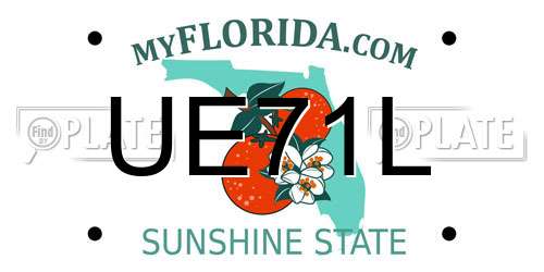 UE71L Florida License Plate