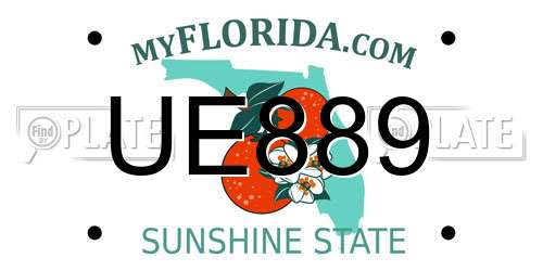 UE889 Florida License Plate