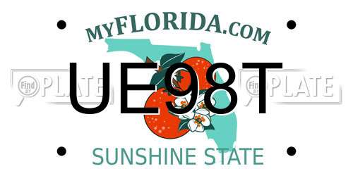 UE98T Florida License Plate
