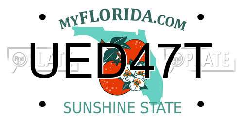UED47T Florida License Plate