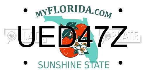 UED47Z Florida License Plate