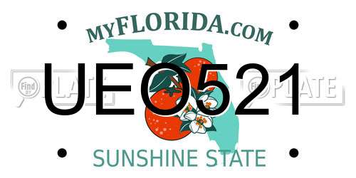 UEO521 Florida License Plate